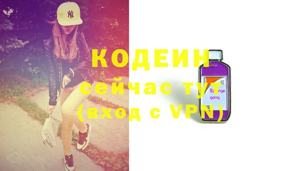 индика Пересвет