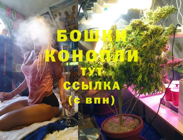 мяу мяу мука Остров