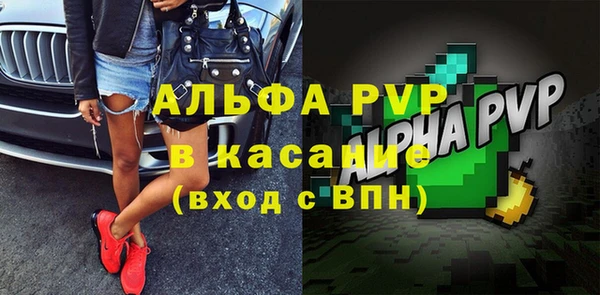 индика Пересвет