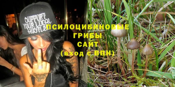 индика Пересвет