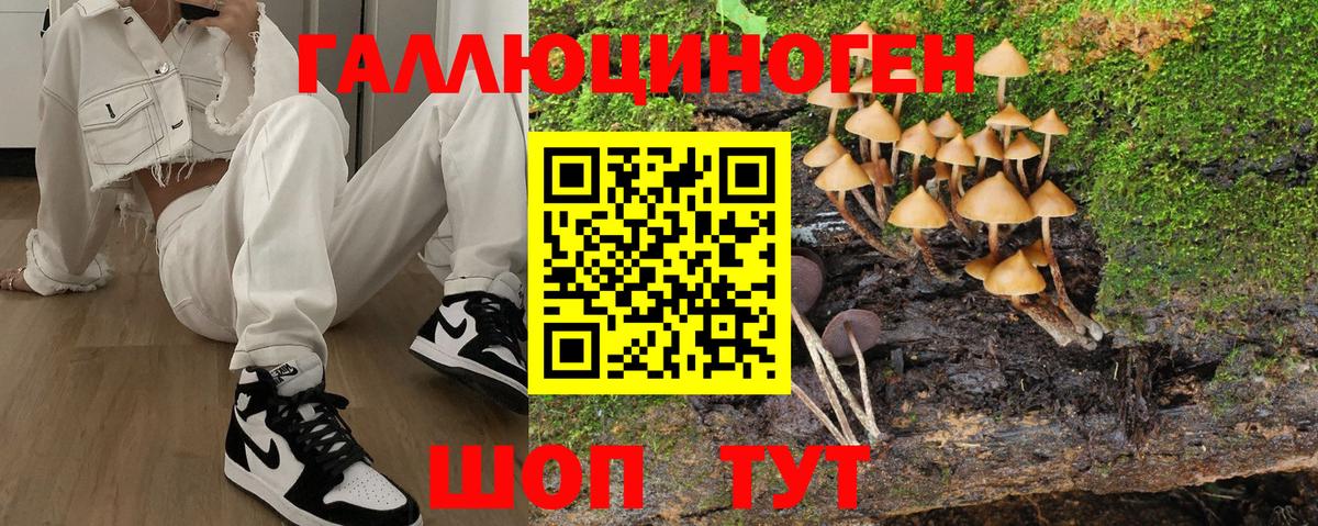 Лиски  Псилоцибиновые грибы Psilocybine cubensis  Псилоцибиновые грибы Psilocybine cubensis  Вход с VPN 
