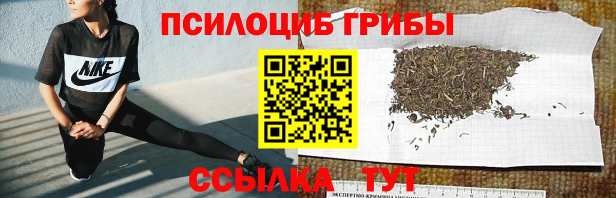 Псилоцибиновые грибы Magic Shrooms Лиски