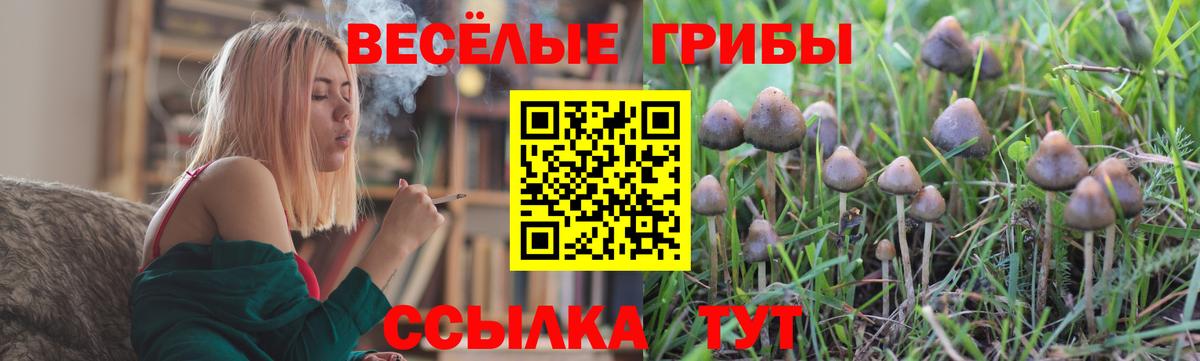Псилоцибиновые грибы ЛСД  Псилоцибиновые грибы Psilocybe  Лиски 